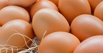 Retail Dozen Pack (Brown Eggs) 