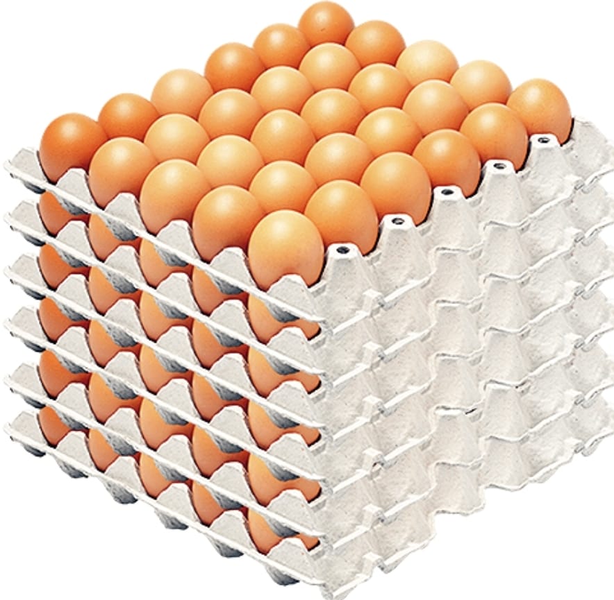 Jumbo Size Tray (Large Eggs) 