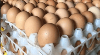 Mixed jumbo Pack (White + Brown Eggs) 