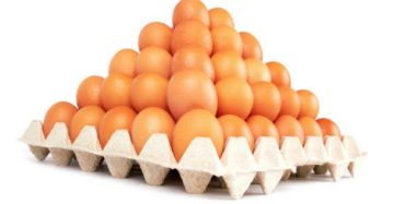 Premium Brown Pack (Brown Eggs)