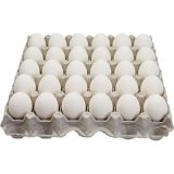 Starter Tray (White Eggs)