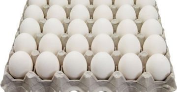 Baker’s Special (Eggs - White) 